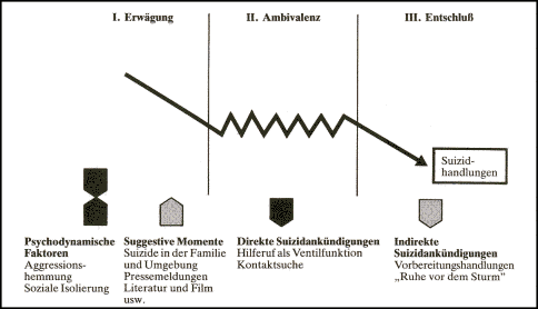 Stadien