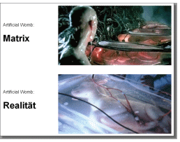 Matrix vs. Realitt